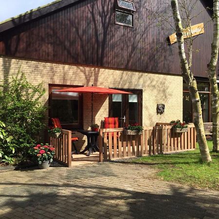 Bed and Breakfast De Vier Berken 2 De Koog  Exterior foto